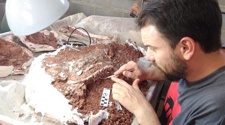 Huayracursor Jaguensis