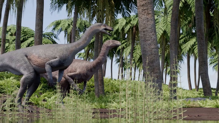 Huayracursor Jaguensis