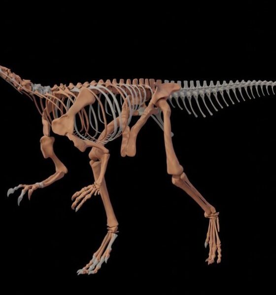 Huayracursor Jaguensis