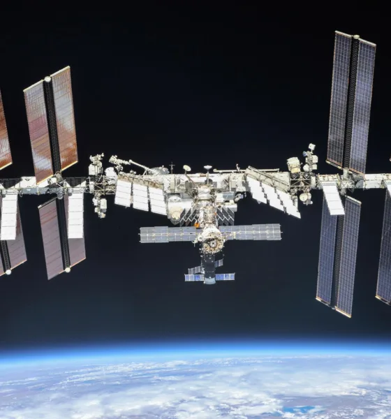 Muschio nello spazio