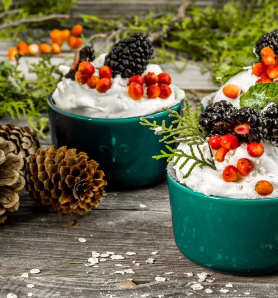 ricette vegetariane per natale