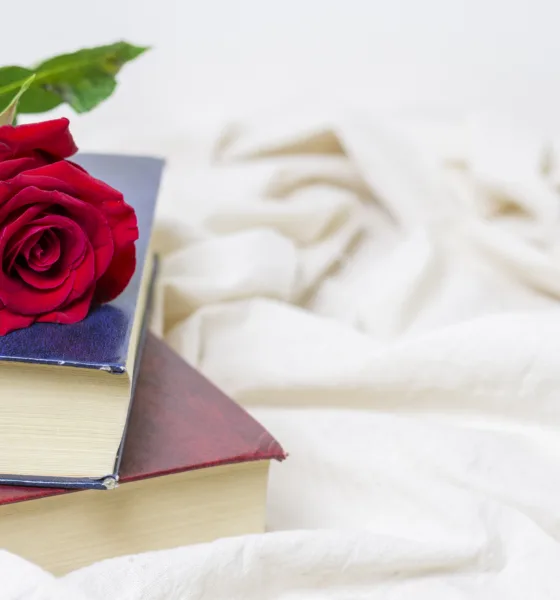 libri da leggere per san valentino