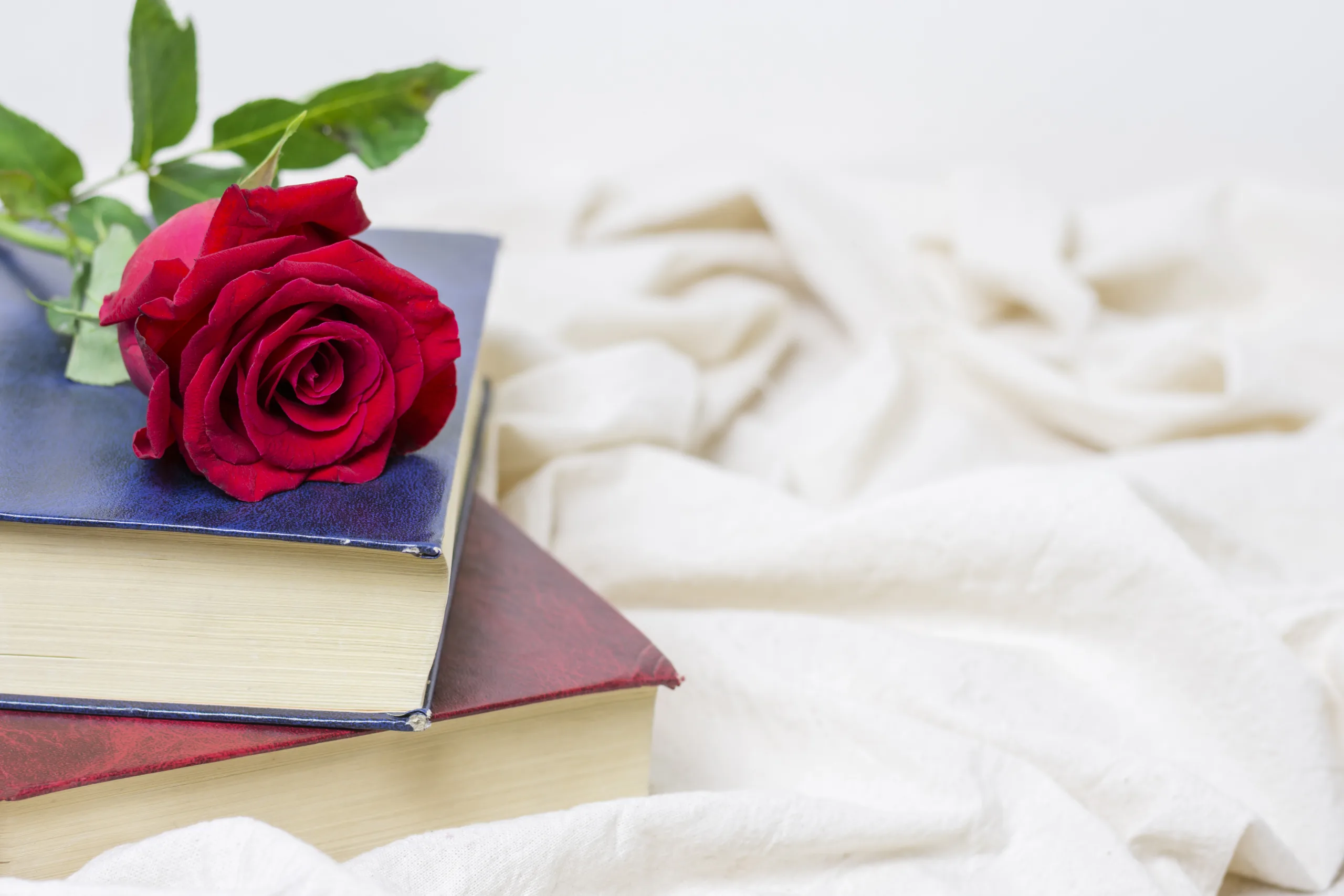 libri da leggere per san valentino